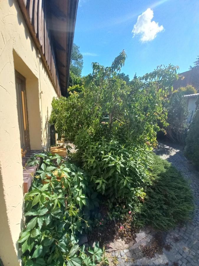 Avalon Polchowo Kamien Pomorski Buitenkant foto