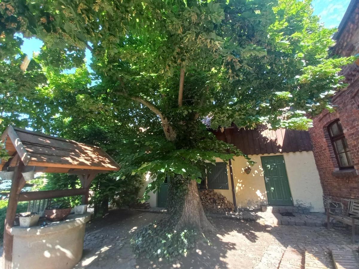 Avalon Polchowo Kamien Pomorski Buitenkant foto