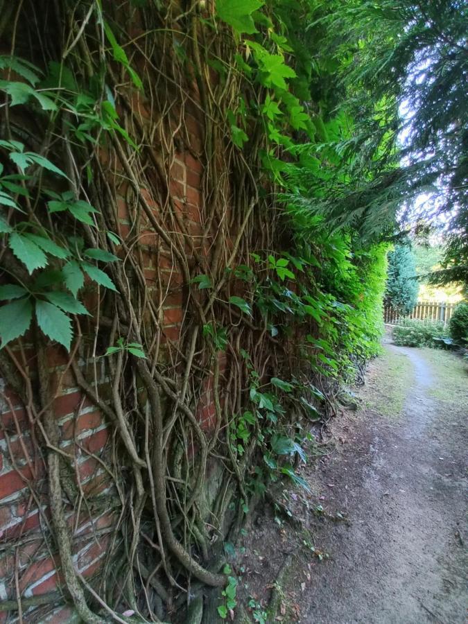 Avalon Polchowo Kamien Pomorski Buitenkant foto
