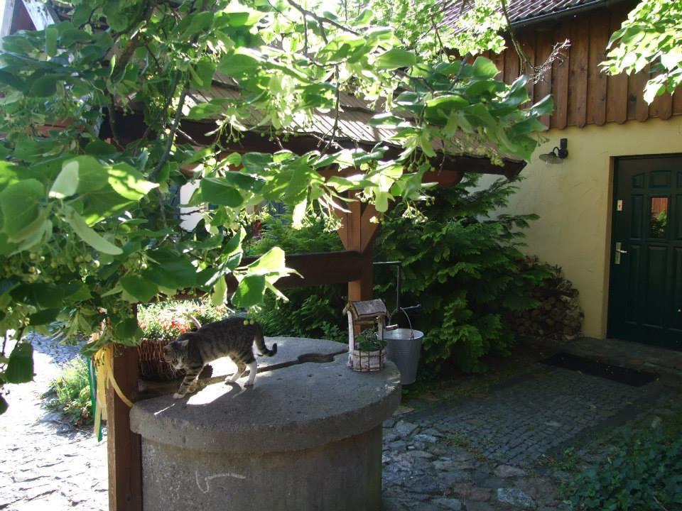 Avalon Polchowo Kamien Pomorski Buitenkant foto